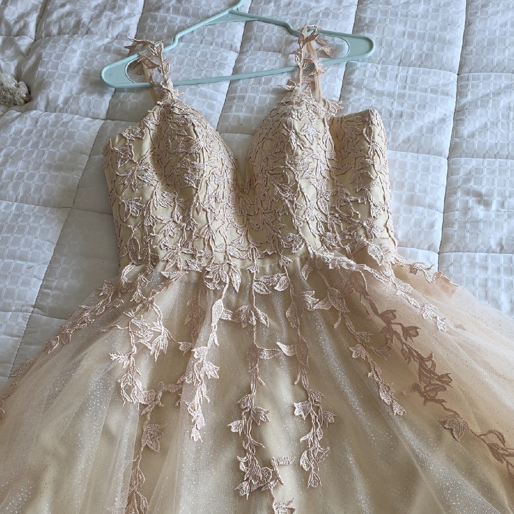 Elegant Cream Lace Dress